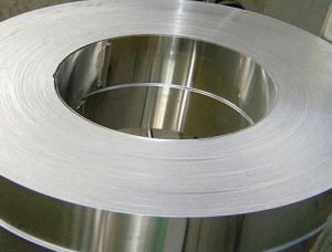 Stainless Steel Strips Ss Strips Supplier Exporter With